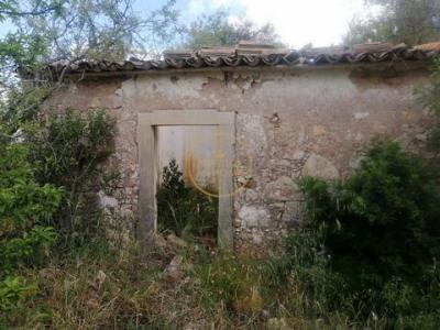 Annonce Vente Terrain Loule