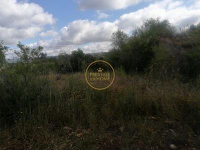 Acheter Terrain Loule rgion FARO