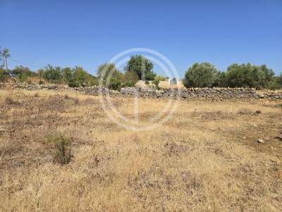 Annonce Vente Terrain Faro