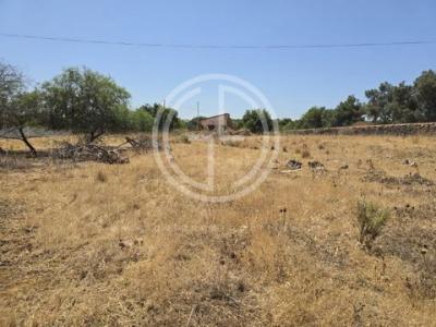 Acheter Terrain 2000 m2 Faro