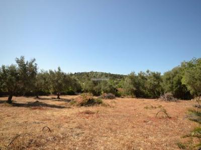 Annonce Vente Terrain Loule