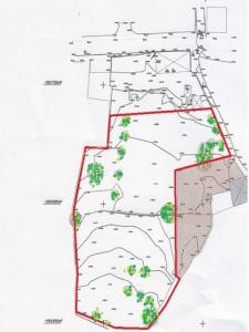 Acheter Terrain Loule rgion FARO