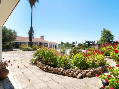 Annonce Vente Maison Moura