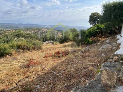 Acheter Terrain Olhao rgion FARO