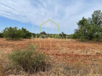 Annonce Vente Terrain Faro