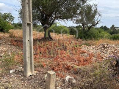 Acheter Terrain 3040 m2 Faro