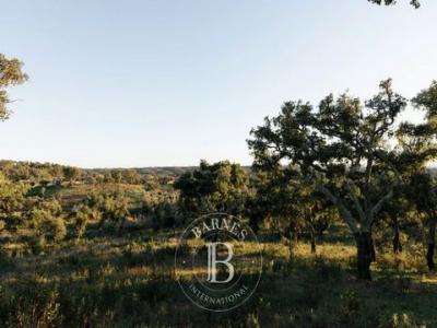 Vente Terrain Abela  15 au Portugal