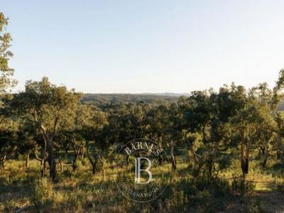 Annonce Vente Terrain Abela