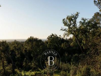 Acheter Terrain Abela rgion SETUBAL