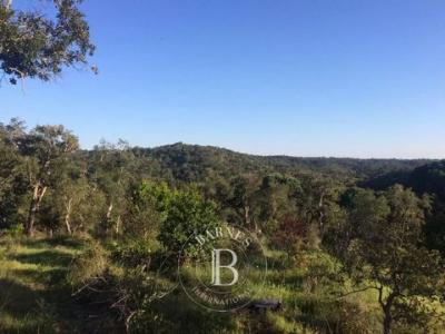 Annonce Vente Terrain Azinh-barros-s-mam-sadao
