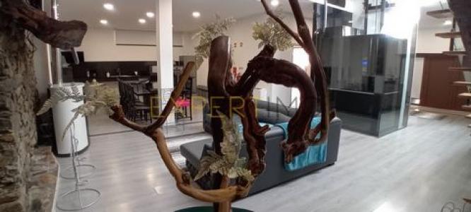 Annonce Vente Maison Braganca