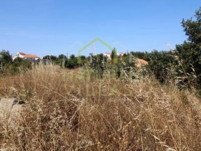Acheter Terrain Faro rgion FARO