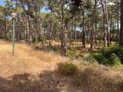 Annonce Vente Terrain Almada