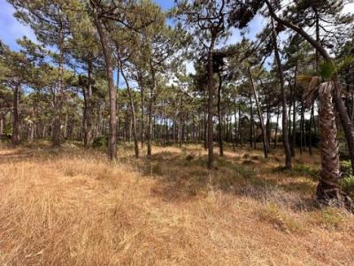 Acheter Terrain Almada rgion SETUBAL