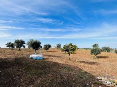 Acheter Terrain 178 m2 Ferreira-do-alentejo