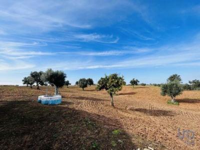 Acheter Terrain Ferreira-do-alentejo rgion BEJA