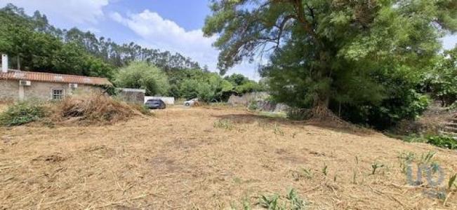 Annonce Vente Terrain Santarem