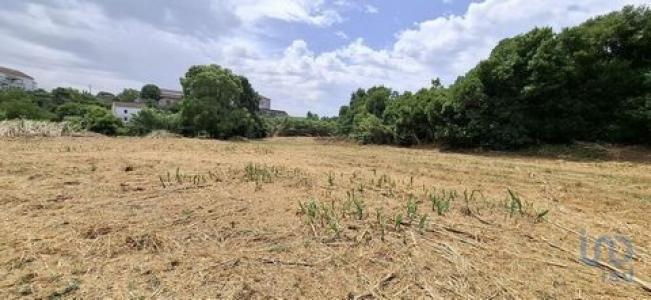 Acheter Terrain 6200 m2 Santarem