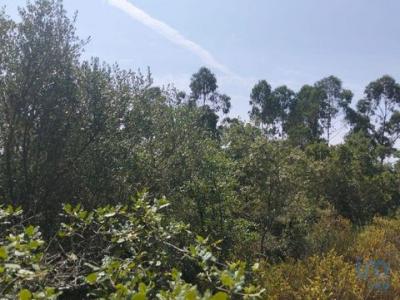 Annonce Vente Terrain Ferreira-do-zezere