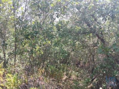 Acheter Terrain 1760 m2 Ferreira-do-zezere