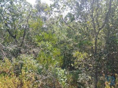 Acheter Terrain Ferreira-do-zezere rgion SANTAREM