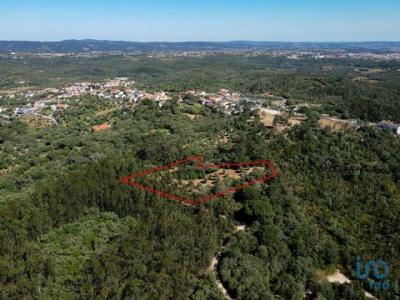 Annonce Vente Terrain Alem-da-ribeira