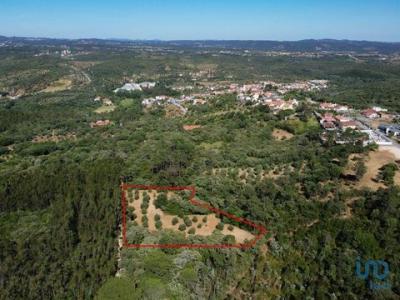 Acheter Terrain 4480 m2 Alem-da-ribeira