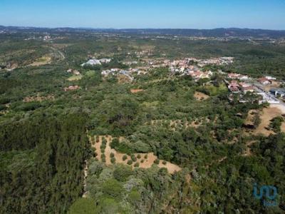 Acheter Terrain Alem-da-ribeira rgion SANTAREM