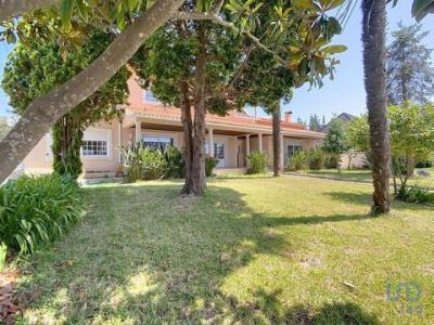 Annonce Vente 6 pices Maison Agua-formosa