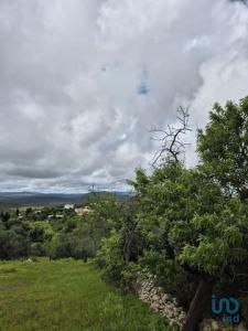 Annonce Vente Terrain Loule