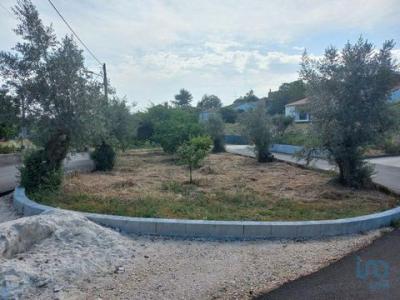 Acheter Terrain 834 m2 Leiria