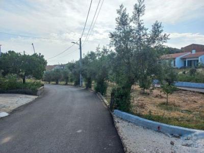 Acheter Terrain Leiria rgion LEIRIA