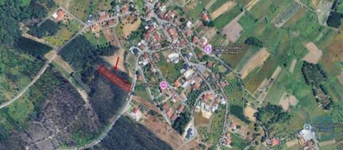 Annonce Vente Terrain Leiria