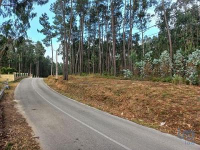 Acheter Terrain 2635 m2 Leiria