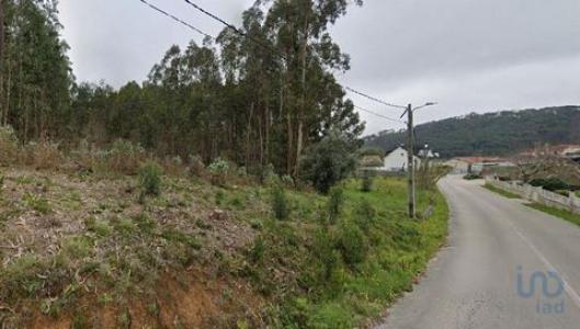 Acheter Terrain Leiria rgion LEIRIA