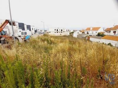 Acheter Terrain Alto-foz rgion LEIRIA