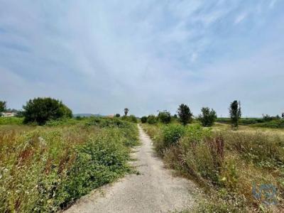 Annonce Vente Terrain Guardizela