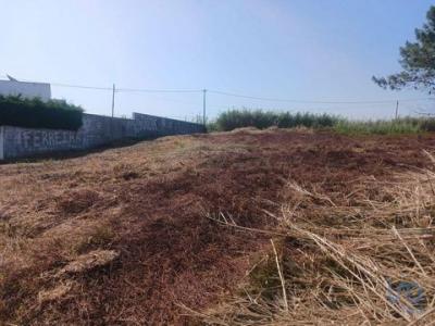 Acheter Terrain Lourinha rgion LISBOA
