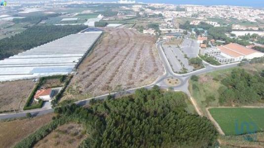 Acheter Terrain 10000 m2 Torres-vedras