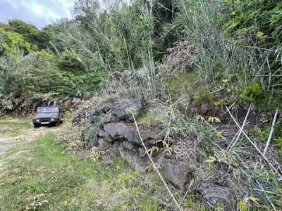 Acheter Terrain 25 m2 Biscoitos