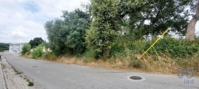 Annonce Vente Terrain Leiria