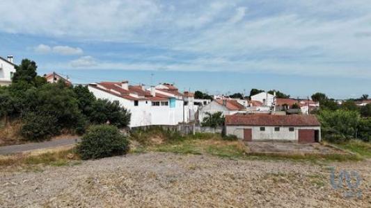 Vente Terrain Abrantes BEMPOSTA 14 au Portugal