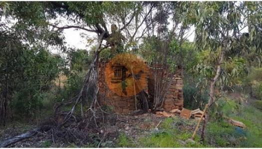 Annonce Vente Terrain Tavira