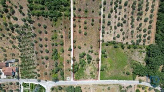 Annonce Vente Terrain Ansiao