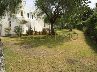 Acheter Maison 54 m2 Tavira