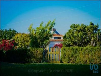 Acheter Maison 383 m2 Laje