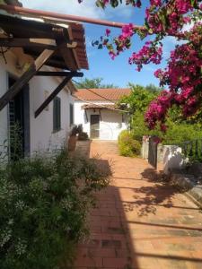 Annonce Vente 4 pices Maison Sao-bras-de-alportel