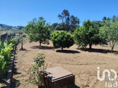 Annonce Vente Terrain Serta