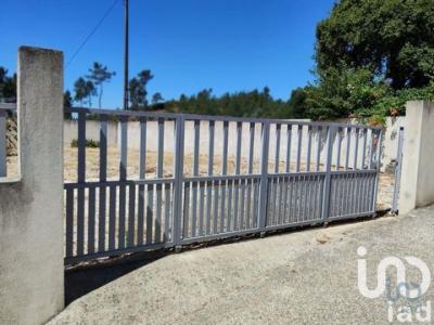 Acheter Terrain 1600 m2 Serta