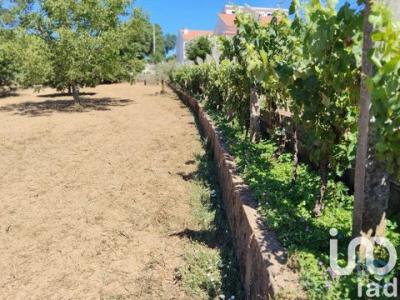 Acheter Terrain Serta rgion CASTELO-BRANCO